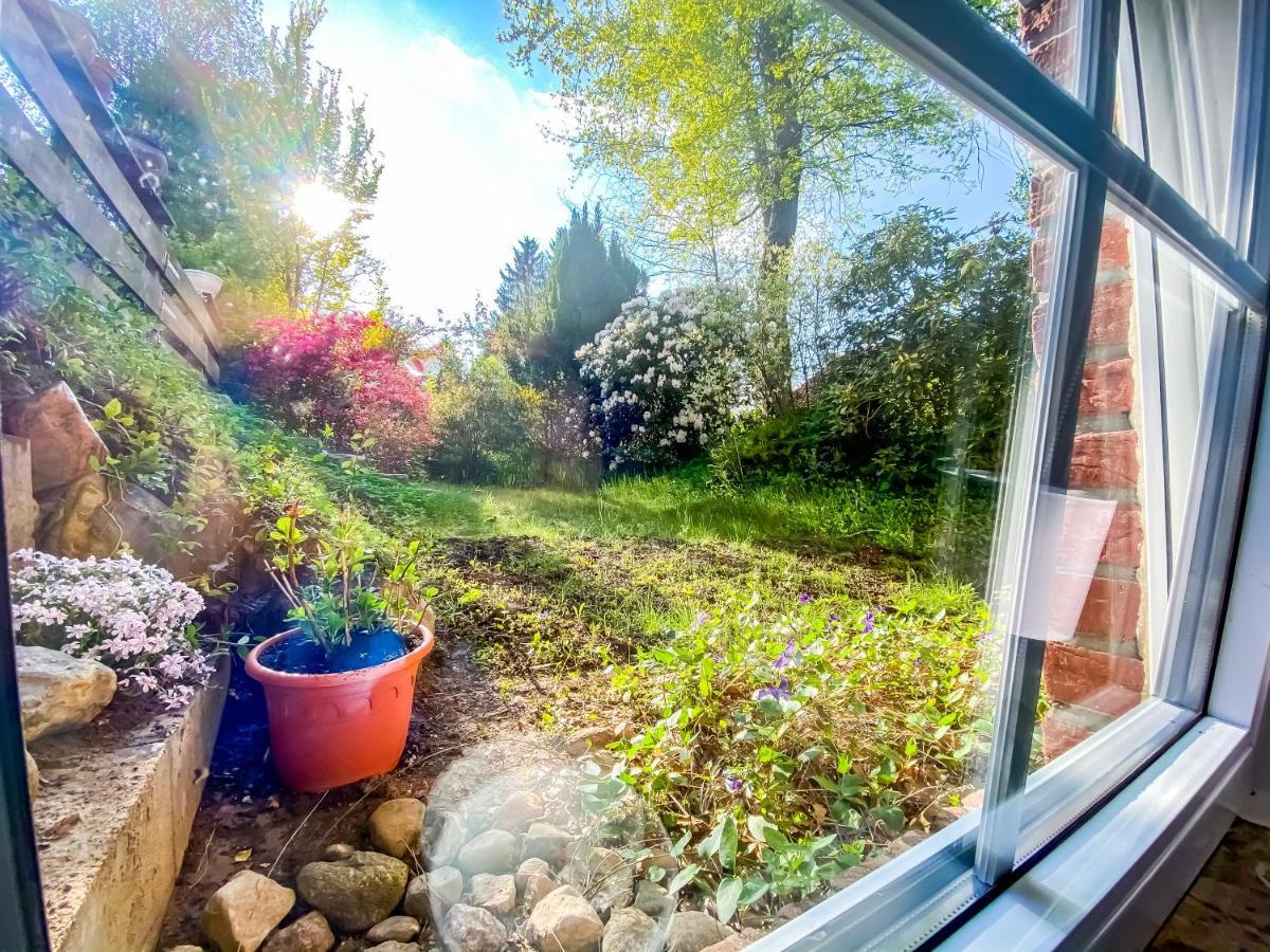 Ferienwohnung Im Sachsenwald Dassendorf Luaran gambar